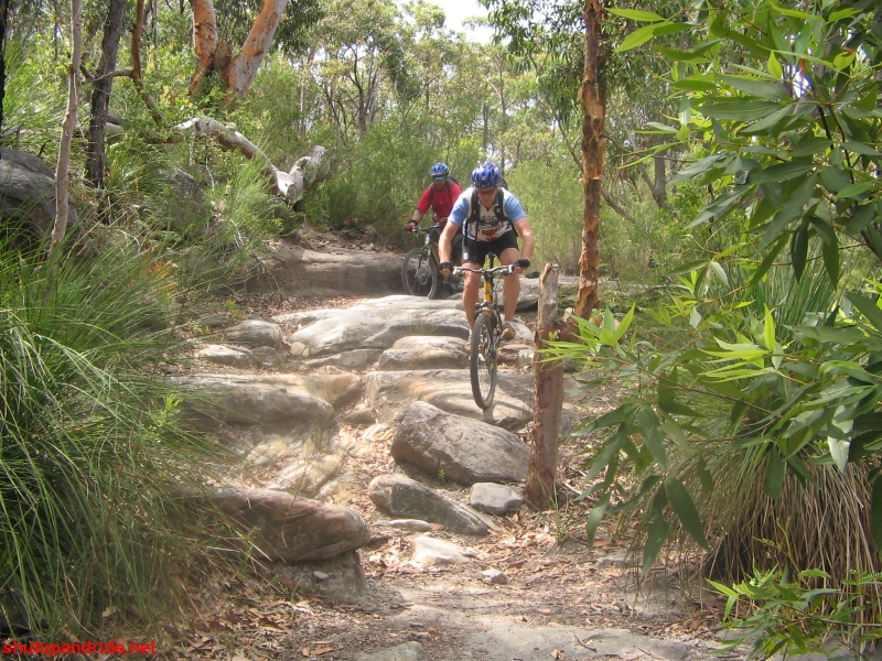 20061210-Lindfield 045 